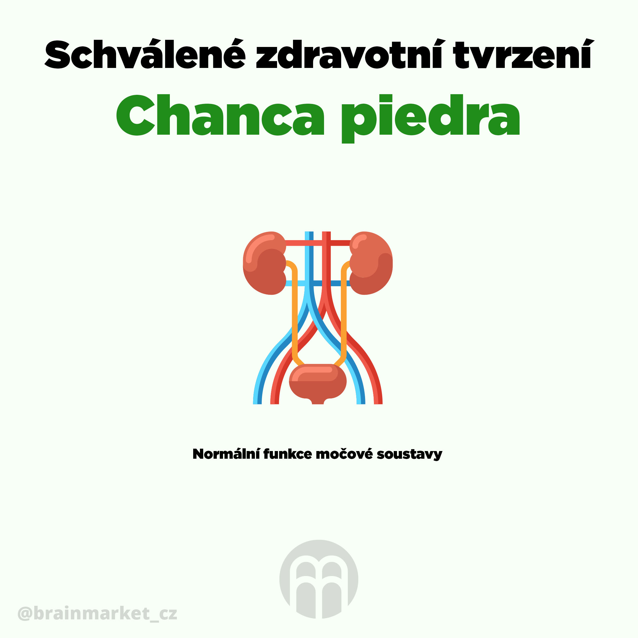 BrainMax Pure Reismehl BIO - BrainMarket.cz